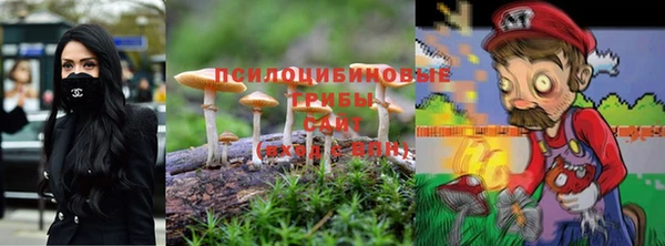 мяу мяу мука Белокуриха