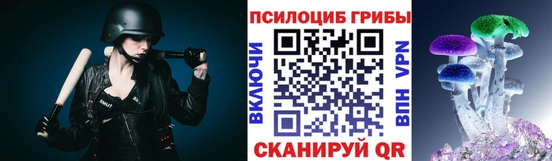MEGA зеркало  Плёс  Галлюциногенные грибы прущие грибы 
